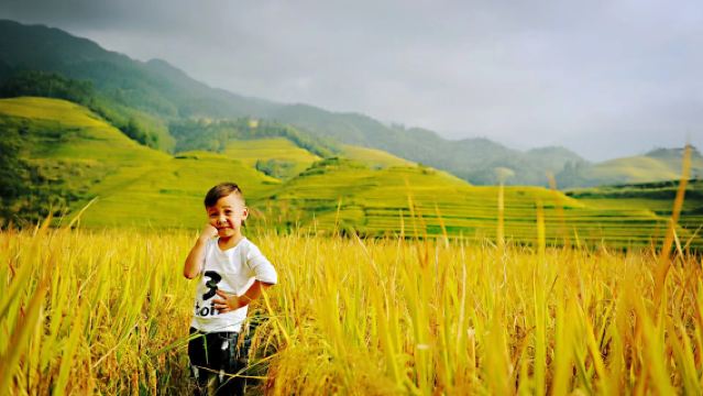 Join-in Tour | Private Tour to Longji Rice Terraces Attraction: Huangluo + Jinkeng