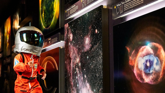 美國波士頓|哈佛大學+麻省理工大學+科學博物館+邦克山紀念碑