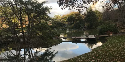 加拿大蒙特利爾植物園+塔隆集市+蒙特利爾美術博物館一日遊
