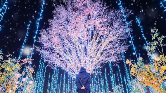 Excursión de un día al Jardín de Flores de Ashikaga en Ibaraki con espectáculo de luces japonés, mercado de pescado de Nakaminato y torii de Kamisaki
