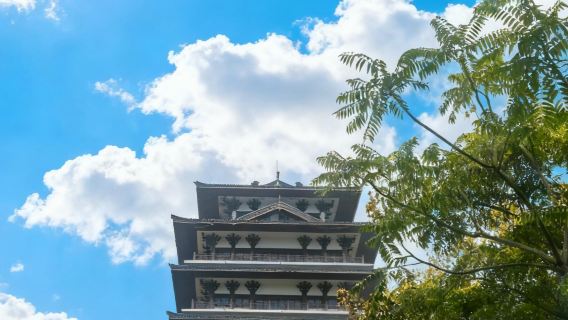 Tagesausflug mit englischem Service zum Halbmondberg-Buddha in Ziyang, Sichuan, Zikushan-Park und Drei-Weisen-Kulturpark