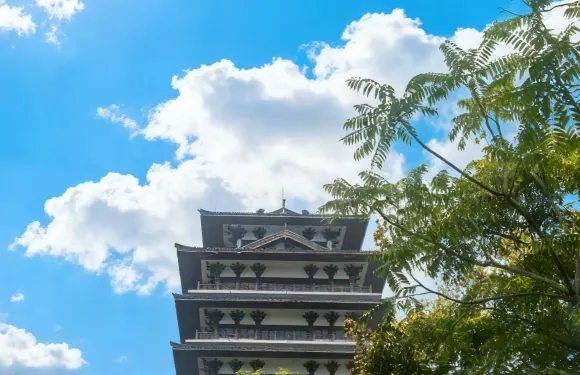 四川資陽半月山大佛+字庫山公園+三賢文化公園一日遊中英文服務