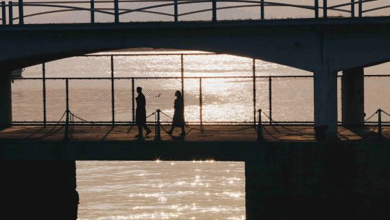 Travel Photoshoot in Zhucheng[Peony Garden/Zoo/Private Driver-Guide & Travel Photography + Wedding Aerial Photography & Microfilm + Makeup & Costumes]