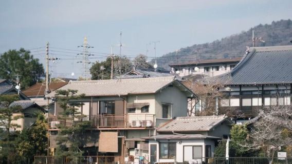 金澤：兼六園+金澤城+近江町市場【中文服務/行程可調】