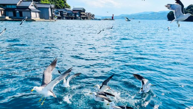 [ทัวร์ลับๆ ในเกียวโต] ทัวร์ 1 วัน อะมะโนะฮาชิดาเตะ วิวแลนด์ + หมู่บ้านประมงโบราณอีเนะ ฟูนายะ จากโอซากะและเกียวโต