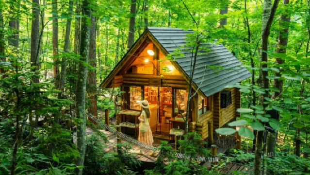 Japan Summer Hokkaido: 1-Day Tour to Asahiyama Zoo, Shirogane Blue Pond (Aoiike), Shirahige Waterfall, and Forest Elf Terrace