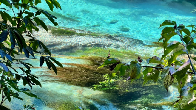 Pakej sewaan peribadi berbahasa Cina di New Zealand: Blue Spring Auckland + Bandar Tirai Besi + Rotorua + Kampung Budaya Maori