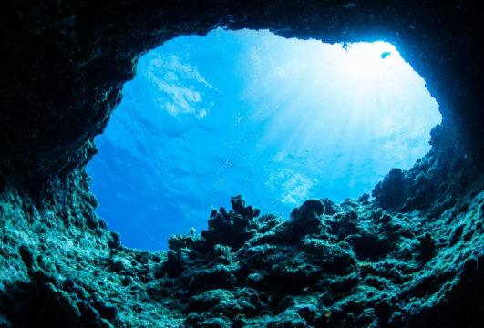 【含裝備·多班次可選】沖繩青之洞窟半日遊·可選深潛\浮潛恩納出發