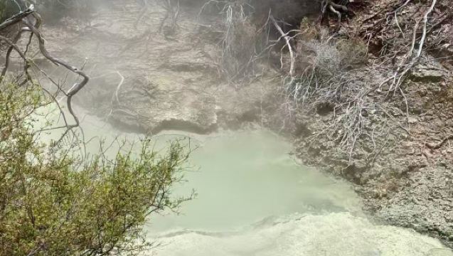 Lawatan sehari ke Agrodome Farm + Taman Geothermal Wai-O-Tapu dari Rotorua, New Zealand & boleh disesuaikan