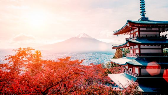 1-day tour to enjoy the beautiful views of Mount Fuji at Lake Kawaguchi and Lake Yamanaka, visiting popular photo spots for stunning Fuji shots