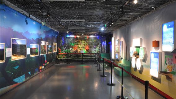 Half-day Tour of Heilongjiang Provincial Museum in Harbin