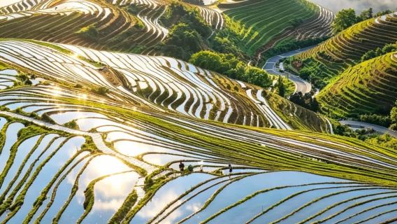 Luxury Longji Terraces Daytour | Huangluo Yao & Ping'an Zhuang Village Lifetime Wonder