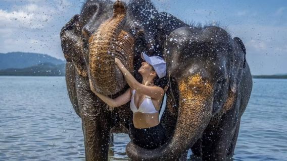 Immersyjne doświadczenie interakcji w obozie ochrony słoni na Phuket (karmienie i bliski kontakt)