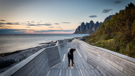 Bertolak dari Tromso | Utara Pulau Senja - Tungeneset + Pulau Hus [tidak termasuk tiket]