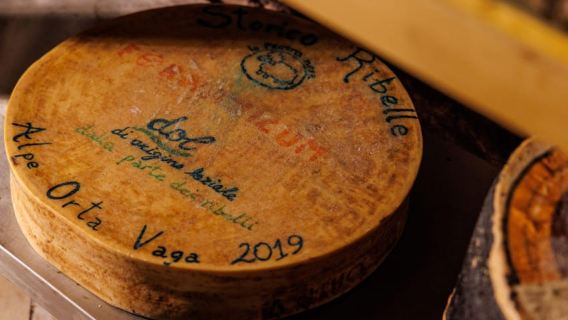 Vinsmagning & Madparring i Undergrunds hule i Rom