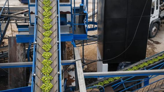 From Granada: Olive Oil Mill Excursion in the Lecrín Valley