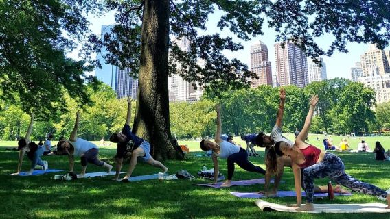 Central Park, New York: Yoga Classes in the park since 2012