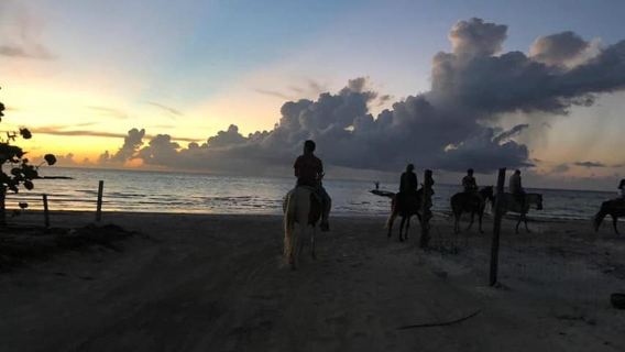 Group horseback ride on Holbox Island, Quintana Roo
