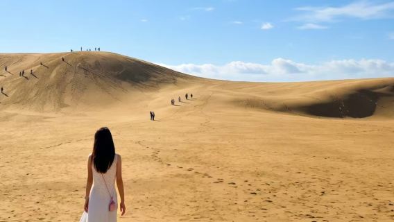 Japan Osaka + Tottori Sand Dunes + The Sand Museum + Hakuto Shrine private charter 1-day tour