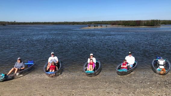 New Smyrna Beach: Guided Clear Kayak Tour with Wildlife