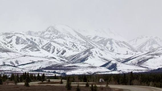 [Fairbanks, Alaska, Amerika Syarikat] Kereta Luncur Anjing Taman Negara Denali lawatan sehari tanpa tiket