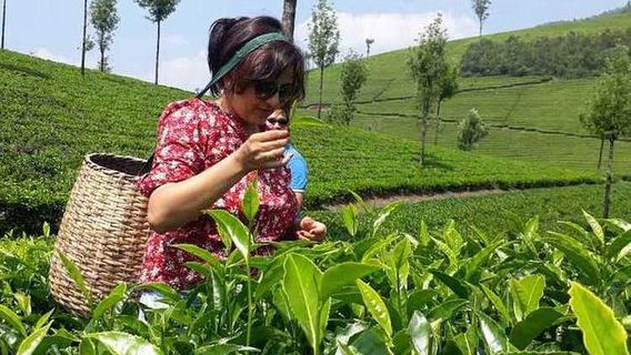 Munnar