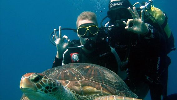 Costa AdejeExperiences