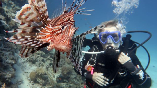 ดำน้ำลึก Kemer พร้อมอาหารกลางวันแบบบาร์บีคิวและบริการรับส่งจากเบเลค