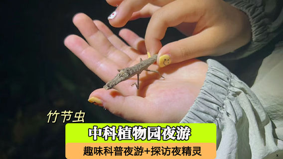 勐臘日遊