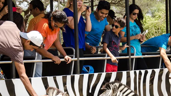 Mauritius Casela Nature Parks Admission Ticket / Walk with Lions / Cheetah Interaction / Family Tour