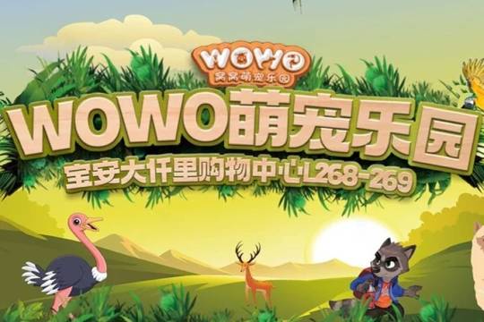 Shenzhen WOWO Cute Pet Paradise (Baoan Daqianli store) close contact with cute pets course experience