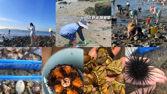 廣東汕頭南澳島海角天涯潮汐趕海體驗含餐【領隊潮汐趕海+趕海裝備齊全+自助燒烤 BBQ+海鮮粥+功夫茶】