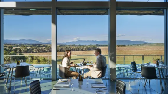 Yarra Valley Food and Beverages and Wine one-day tour with Melbourne Pickup + Winery Tasting + Lunch