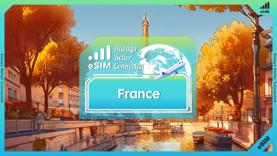 FranceSIM Cards