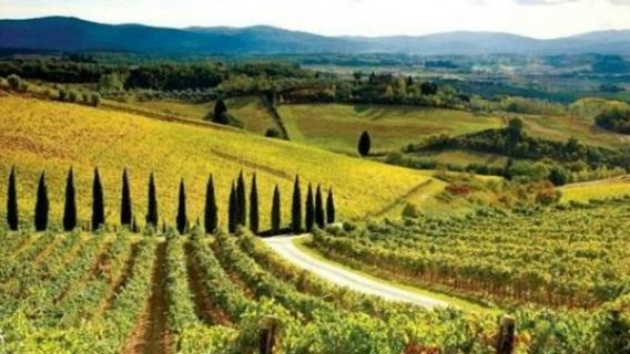 Chianti, Montalcino & San Gimignano: Mencicipi Anggur + Perjalanan Sehari dari Siena