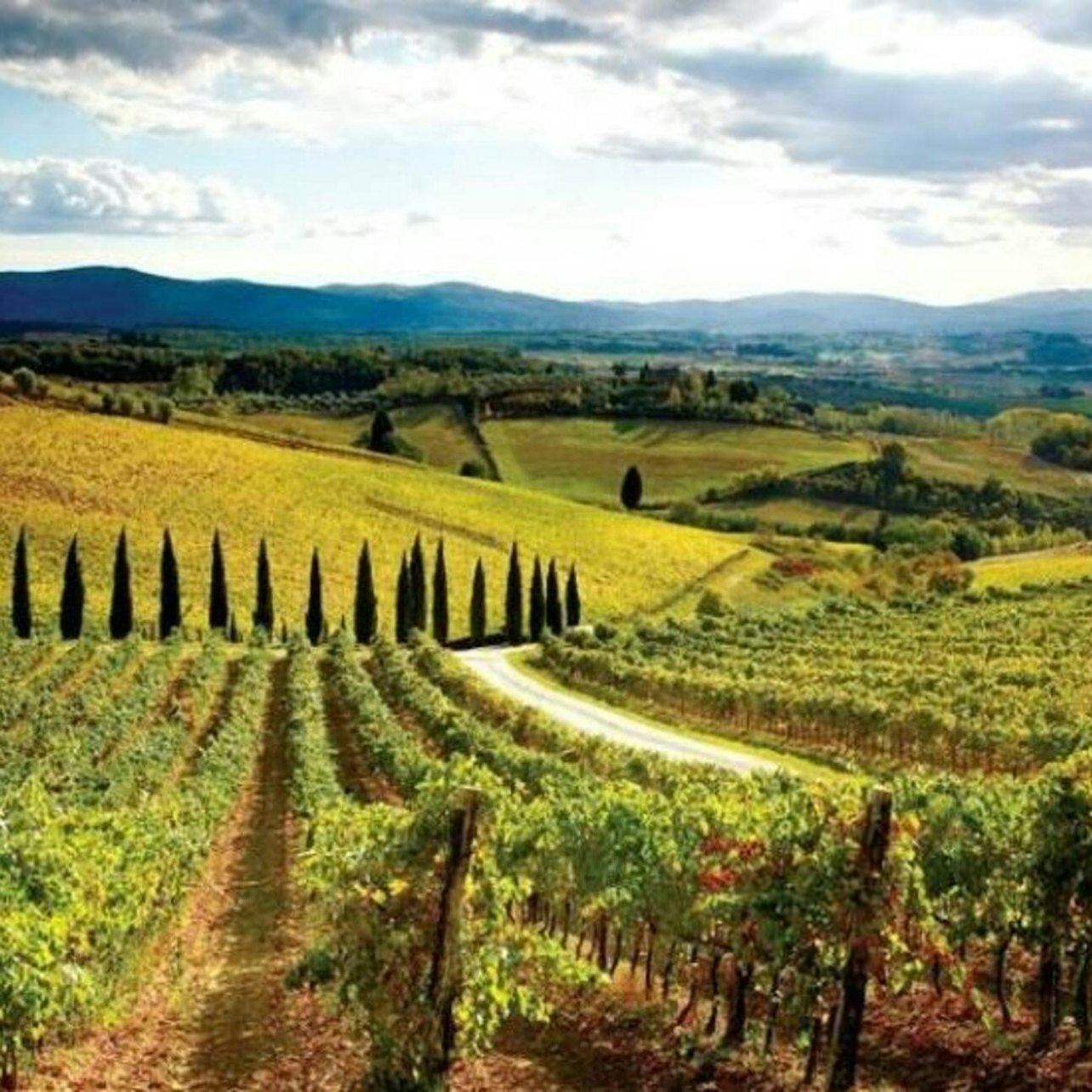 Chianti, Montalcino e San Gimignano: degustazione di vini + gita di un giorno da Siena