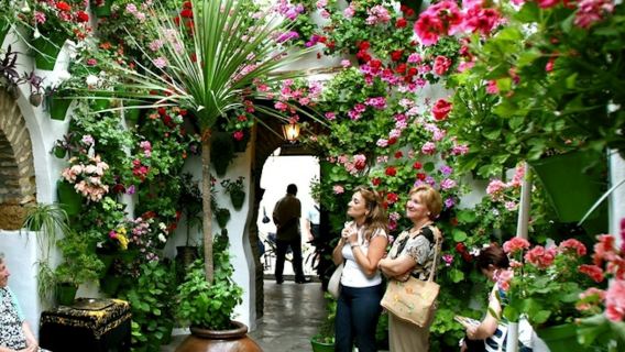 Patios de Córdoba: Guided Tour