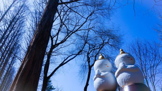 Elysian Gangchon Ski Resort e Nami Island (partenza da Seul, inclusa lezione di abbigliamento)
