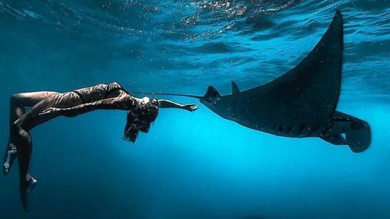 Nusa Penida Island Manta Point Snorkelen en oostkusttour