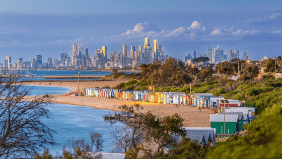 BrightonTours
