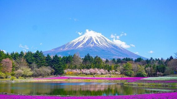 NarusawaTours