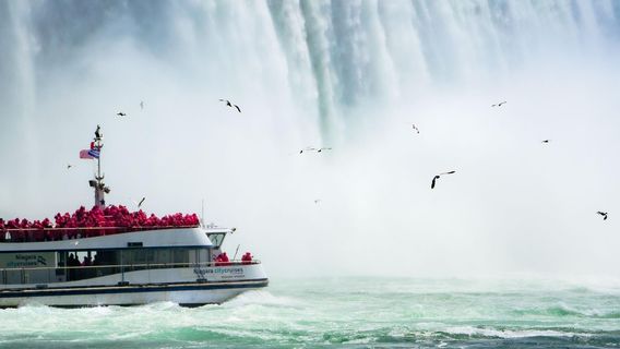 TorontoTours