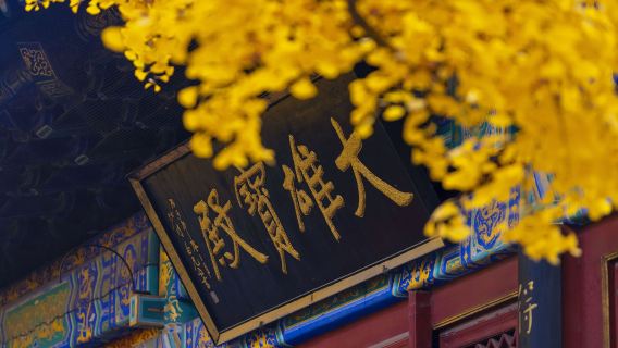 10人團丨杭州靈隱寺飛來峰半日遊含門票講解ღ可選抄經品茶素齋