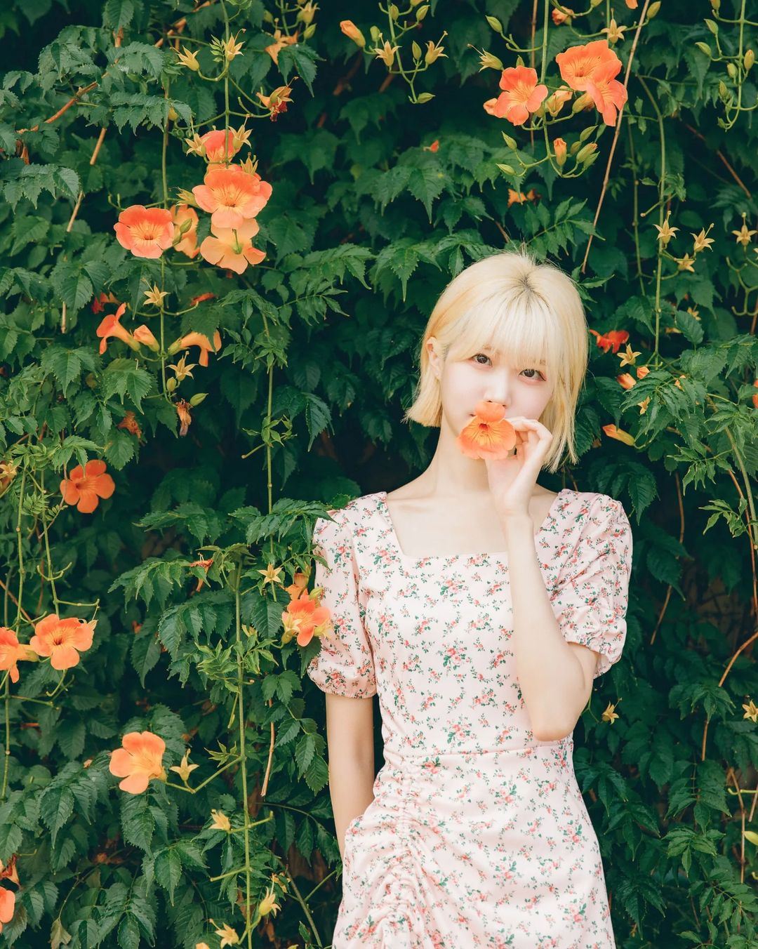 Chongzuo Travel Photography[Driver and guide + travel photography + wedding photos, aerial photography, micro-film + makeup and clothing + itinerary customization ]