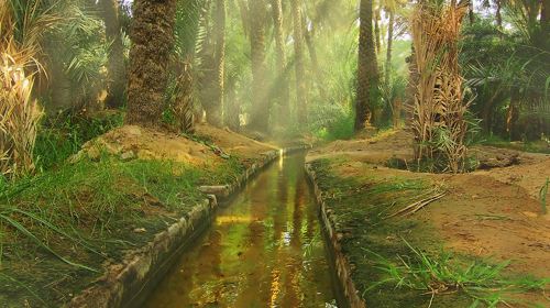 From Abu Dhabi Private Tour: Al Ain Essentials day from Abu Dhabi Day Tours 7