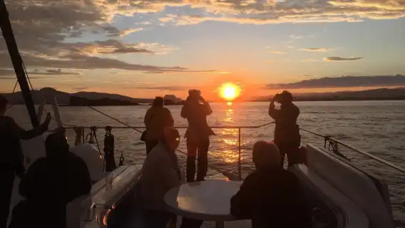 Valencia: Sunset Catamaran Cruise