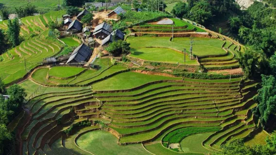 Featured tour with 10 reviews: Y Linh Ho, Lao Chai – Ta Van Village Trekking Day Tour