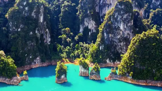 จากภูเก็ต: อุทยานแห่งชาติเขาสก + ทัวร์วันเดียว/ทัวร์หลายวัน เรือหางยาวทะเลสาบเชี่ยวหลาน