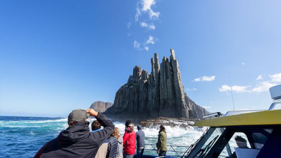 Crociera a Cape Raoul, Tasmania (opzione trasferimento da Port Arthur/Hobart)