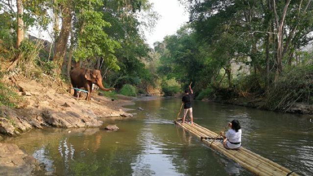 Olifantenopvang + waterval + bamboerafting, eendaagse trip